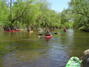 canoers glide by cedar elms growing among oaks and other native Texas trees along the Colorado River near Columbus, TX