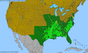 map of native range of overcup oaks (quercus lyrata)