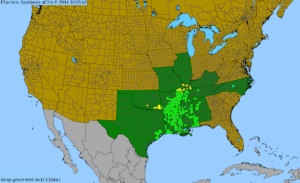 native range of quercus texana also known as nuttall's oak